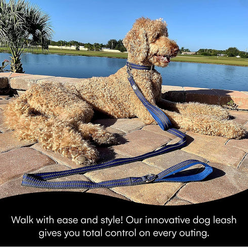 Black Rhino Heavy Duty Dog Leash for Medium and Large Dogs, 5 ft Long Double Handle with Padded Traffic Control