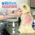 Pet Liquid Bandage Spray for Dogs & Cats - Tough Seal - 2oz Calming Wound Care Protection, Protects Cuts and Scratches