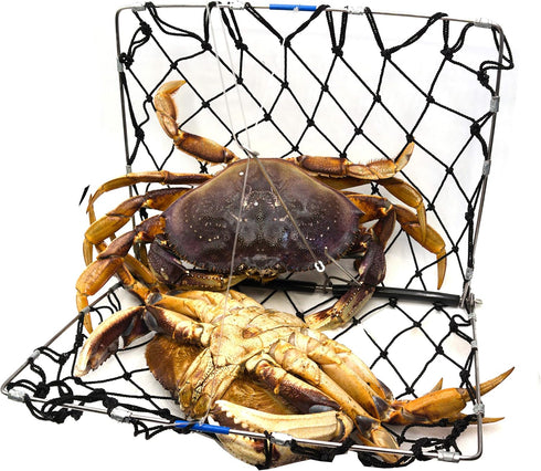 304 AirFly Castable Crab Trap, Foldable Crabjaw Net with Bait Clip, Crab Snare/Pots/Traps for Blue Crabs, Dungeness