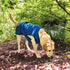 Dog Cooling Vest, Lightweight Jacket with Evaporative Cool Microfiber Technology for Dogs