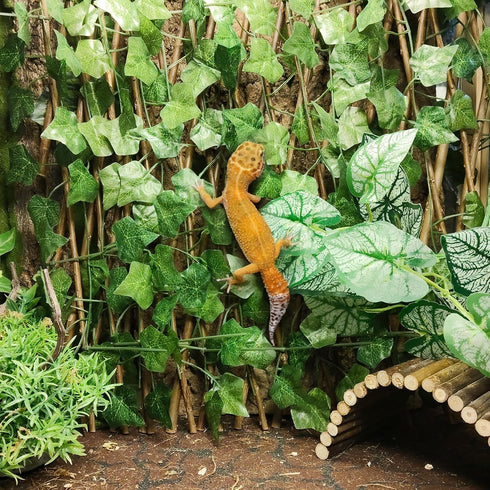 15.75 Reptile Hermit Crab Climbing Toys in Sweet Potato Leaves Expandable Retractable Plastic Simulation Trellis Hedge