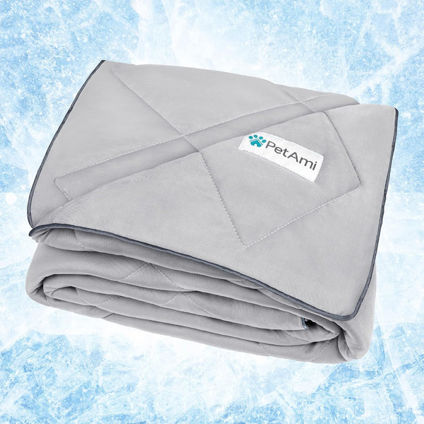 PetAmi Premium Cooling Dog Blanket, Lightweight Fluffy Pet Throw Blanket, Reversible Cozy, 29x40, Light Grey