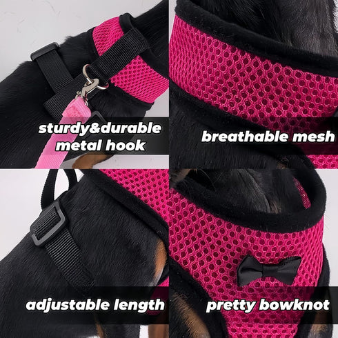 Magnoloran 3 Pack Set Chicken Harness and Leash Adjustable Hen Vest with Matching Belt Breathable Mesh Training Harness