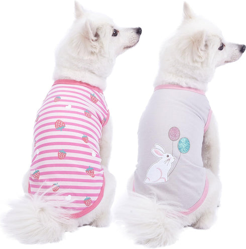 Blueberry Pet Pack of 2 Soft & Comfy Wonderland Striped Dog T Shirts - Back Length 12"