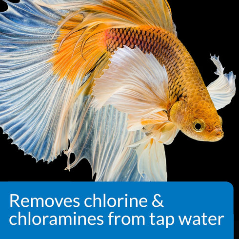 1.7-Ounce API BETTA WATER CONDITIONER Betta Fish Freshwater Aquarium Water Conditioner Bottle