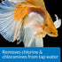 1.7-Ounce API BETTA WATER CONDITIONER Betta Fish Freshwater Aquarium Water Conditioner Bottle