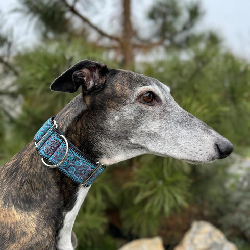Martingale Dog Collar and Leash Set 2" Wide for Greyhound Saluki Whippet and Similar Breeds (11"-14")
