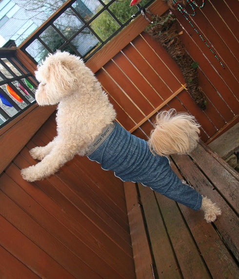 Original Dog Pants - E-Collar Alternative for Medium Dogs, Blue