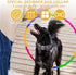 Adjustable Dog Bow Tie Collar, Soft Cotton Puppy Collar with Detachable Bow Tie and Metal Buckle for Small Medium Large