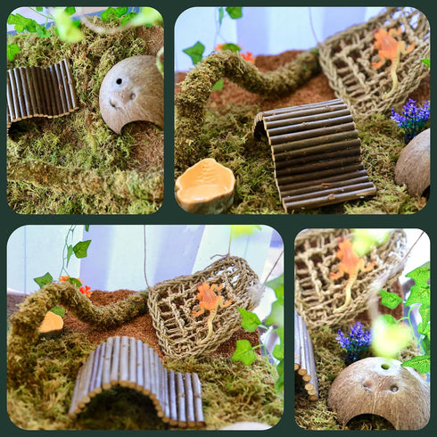 Hammock,Coconut -6Pcs Hammock) Hermit Crab Accessories, Natural Hermit Crab Toys Reptile Shell Hideout Decor for Hermit