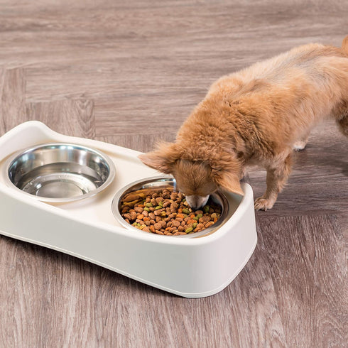 IRIS USA Elevated Dog Bowls, Adjustable Height, 2 Thick 64 oz Stainless Steel Bowls, Spill-Proof, Made in USA Plastic