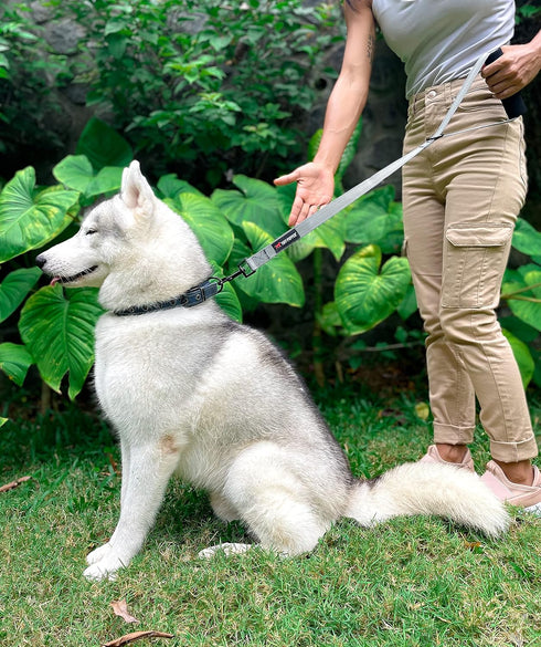 Tuff Pupper Service Dog Leash - 24 Inch Handle for Large Dogs, Perfect for Service Dog Harness & Training