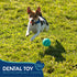 Good Scout Dental Balls for Dogs, Indoor and Outdoor Dog Ball Set with Gum-Massaging Rubber Teeth, 2-Pack, 6 cm/2.36 Inch