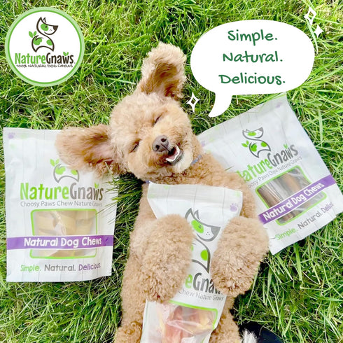 Nature Gnaws USA Turkey Tendon Rings for Dogs, 8oz - Premium Natural Grain Free Chew Treats for All Breeds