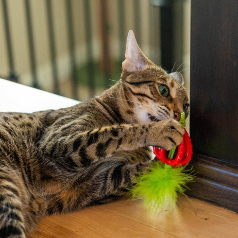Catstages Pink Dental Strawberry Teether - Soft Chew Toy with Catnip
