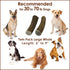 Elk Antler Chews for Dogs | Twin Pack Large Whole Naturally Shed USA Collected A-Grade Premium Antlers | All Natural