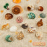 15PCS Natural Hermit Crab Shells, Sea Conch Size 1.6"-3.2", Turbo for Small to Medium Crabs