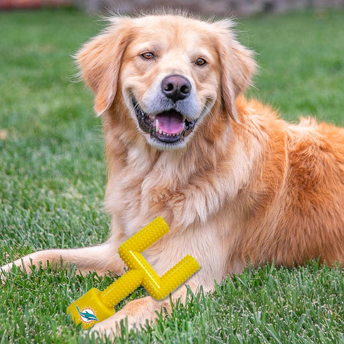 NFL Miami Dolphins Mega- Chew Hard Nylon Bacon-Flavored Dog Bone Football Goal Post Chew Toy. Interactive Tasty Fun Dog