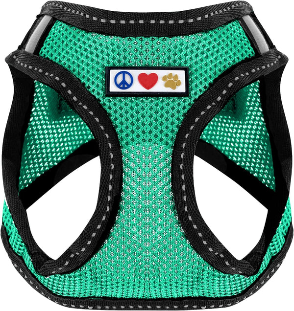 Pawtitas Dog Vest Harness, Breathable Air Mesh, All Weather Vest for Large Dogs with Quick-Release Buckle - Teal