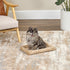 MidWest Homes For Pets QuiteTime Deluxe Wave Bolster Bed 18" for Tiny Dogs, Tan, Easily Machine Wash and Dry