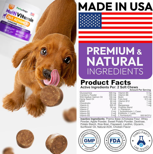 170 Immune Dog Multivitamin Chewable - Dog Vitamins and Supplements with Glucosamine - Chews - Hip & Joint, Pet