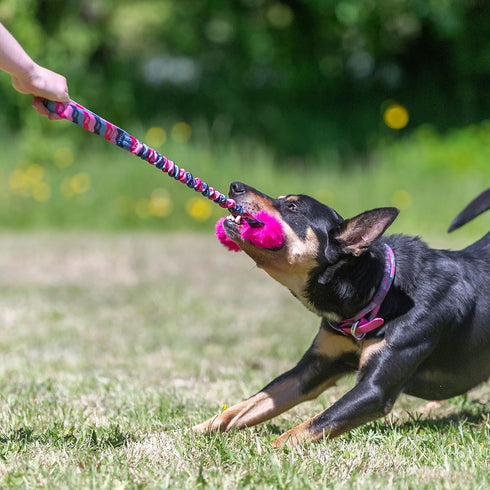 Bright Fauxtastic Dog Toy