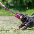 Bright Fauxtastic Dog Toy