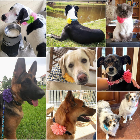 10 Pieces Dog Collar Flower Accessories, Bow Ties, Charms for Girl Boy Dogs and Cats, 9 cm/3.54 Inch