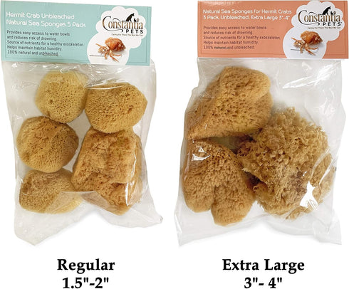 Hermit Crab Real Sea Sponges, 5 Pack Unbleached for Nutrients and Habitat Tank Humidity