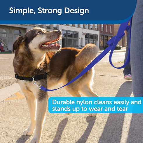 PetSafe Nylon Dog Leash, Royal Blue 1 in. x 6 ft. - Strong, Durable, Traditional Style with Easy to Use Bolt Snap