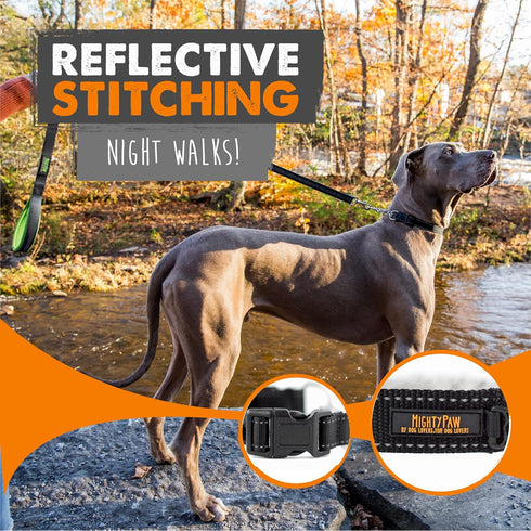 Mighty Paw Martingale Dog Collar 2.0, Trainer Approved Limited Slip Collar with Heavy Duty Buckle, Medium, Black