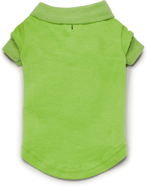 Zack & Zoey Cotton Polo Shirt for Dogs, Parrot Green, 12" Small