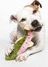 Fluff & Tuff Burt The Lake Trout Toy