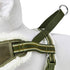 Blueberry Pet Adjustable No Pull Training Dog Harness, Olive Green, Small, Chest Girth 16.5" - 21", Multi-Colored