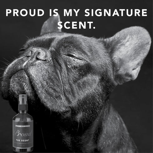Pride and Groom Luxurious Dog Grooming Spray & Pet Deodorizer, 4 fl oz, Fresh and Clean Scent