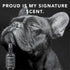 Pride and Groom Luxurious Dog Grooming Spray & Pet Deodorizer, 4 fl oz, Fresh and Clean Scent