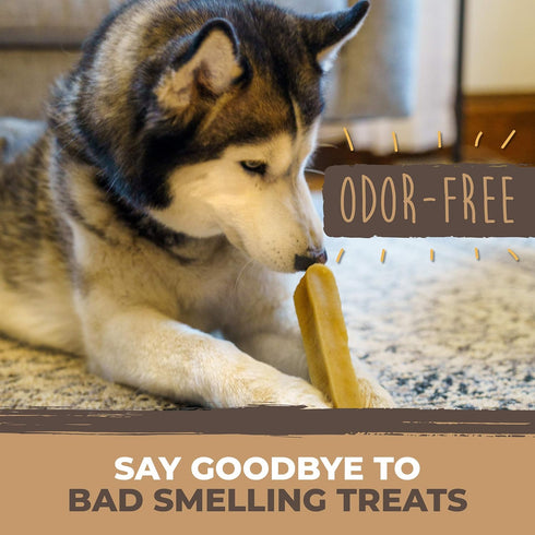 Mighty Paw Yak Cheese Chews for Dogs - All-Natural Long Lasting Pet Treats, Odorless, Great for Oral Health (Monster, 1