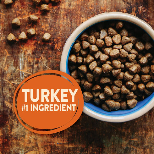 Wellness Natural Pet Food CORE Grain-Free Dry Dog Food - High-Protein, Turkey, 4-Pound Bag