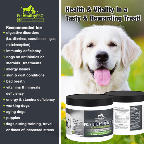 Probiotics for Dogs with Natural Digestive Enzymes, 60 Count, Soft Chews for Diarrhea, Upset Stomach, Allergies