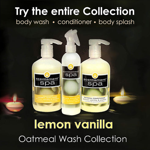 Best Shot Spa Oatmeal Body Wash, Lemon Vanilla, 16 oz