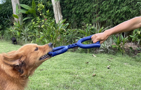 SuperChewy Tough Tug Pull Toy, Strong Natural Rubber for Interactive Tug-of-War for Medium & Large Breeds