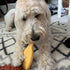 Doggie Dooley Champagne Glass Heavy Duty Dog Chew Toy for Aggressive Chewers, Yellow, USA Made Nylon, Large, 7 inch (5008N)