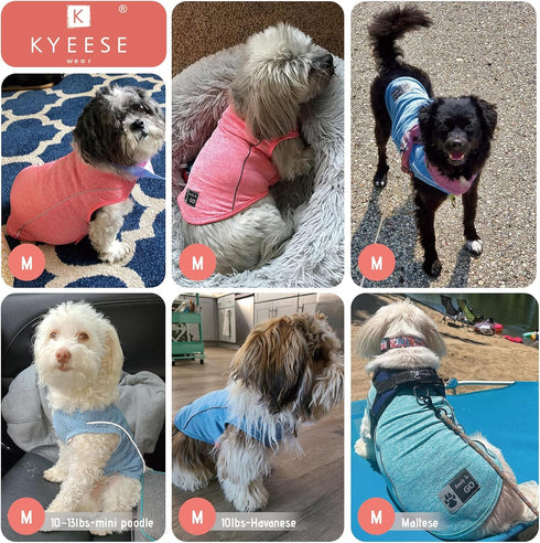 KYEESE Dog Shirt Soft Breathable T-Shirt with Reflective Strip for Night Walking, Lightweight Cat Shirt