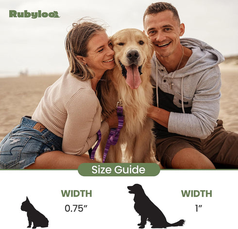 Waterproof Dog Leash 6ft, 100% Washable, Soft Padded Handle, Rust & Corrosion Resistant Clip (Pink, 1")
