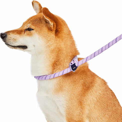 Blueberry Pet Durable Diagonal Striped Collar Leash Training Set with Comfy Neoprene Handle, Lavender, 6 ft