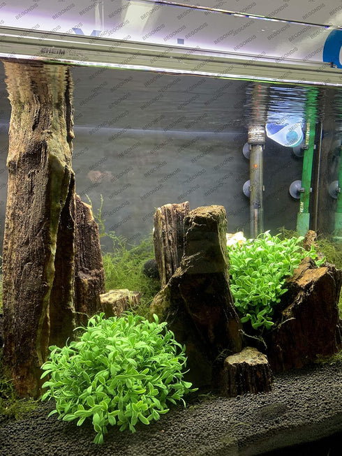 BEGONDIS Aquarium Decorations, Fish Tank Artificial Green Water Plants Safe for All Fish & Pets