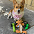 Spunky Pup Wibbleez Dog Toy, Stretchy Nylon Webbing with Plush Squeaker Head, Durable Tug Toy