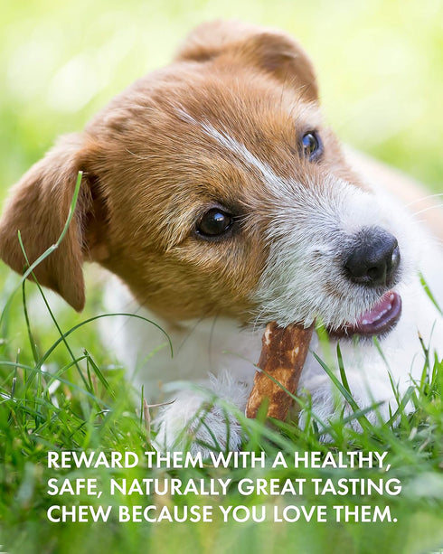 Canine Naturals Peanut Butter Chew - 100% Rawhide Free Dog Treats, 2 Pack of 7 Inch Large Rolls for Dogs 50 lbs+