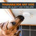Mighty Paw 2.0 Communication (2 Pack) Smart Bell Potty Training Button for Dogs & Puppies Train Your Dog to Ring The