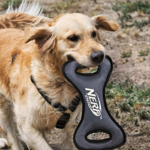 Nerf Dog 12.5in Tuff Rubber - Nylon Plush Infinity Tug Foam Filled, Green/Gray